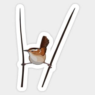 Marsh Wren Sticker